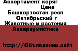 Ассортимент коряг UDeco Desert Driftwood › Цена ­ 190 - Башкортостан респ., Октябрьский г. Животные и растения » Аквариумистика   